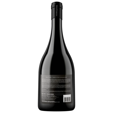 PINOT NOIR CARBON PURE DI INNVERNIA